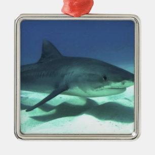 Shark Fish Ocean Tropical Ocean Destiny Gifts Metalen Ornament