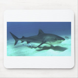 Shark Fish Ocean Tropical Ocean Destiny Gifts Muismat