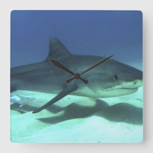 Shark Fish Ocean Tropical Ocean Destiny Gifts Vierkante Klok