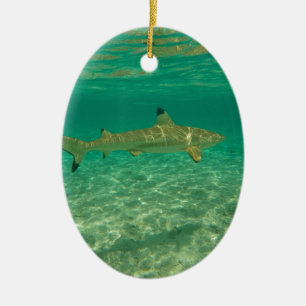 Shark in bora bora bora keramisch ornament