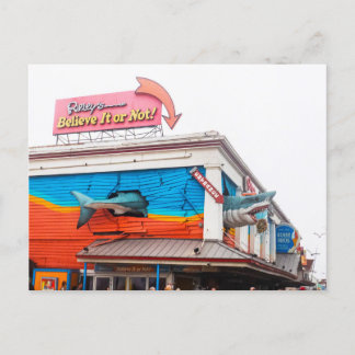 Shark in Ocean City, Maryland, VS Feestdagenkaart