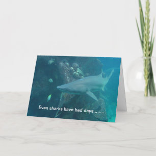 Shark Kaart