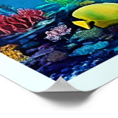 Shark Ocean Predator Art Poster (Hoek)