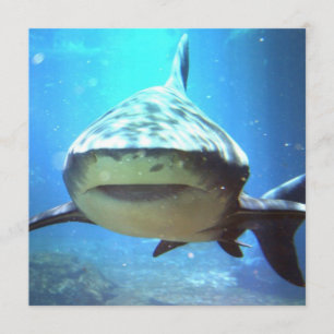 Shark Photo Invitation Kaart