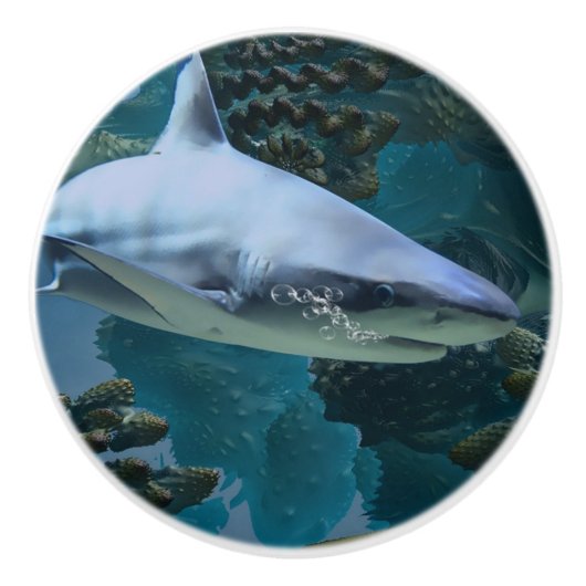 Shark power keramische knop (Voorkant)