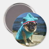 Shark Pug Magnet Magneet (Voorkant / Achterkant)