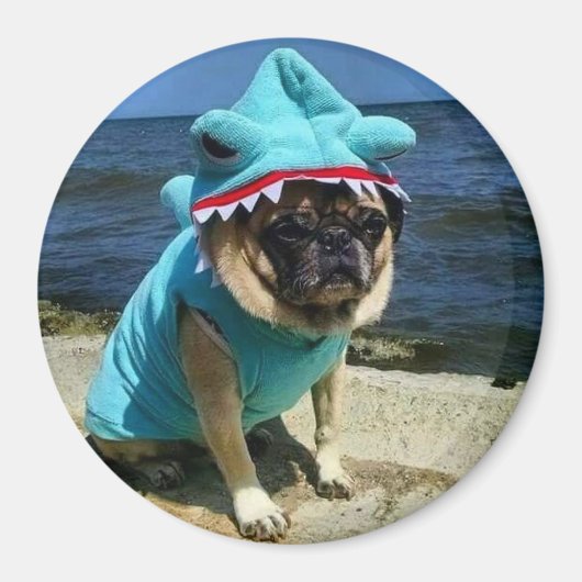 Shark Pug Magnet Magneet (Voorkant)