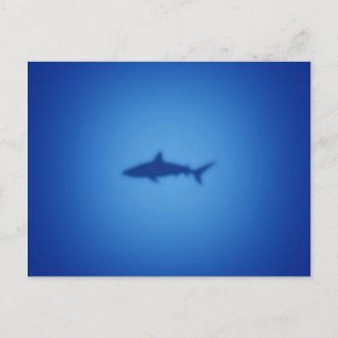 Shark silhouet briefkaart