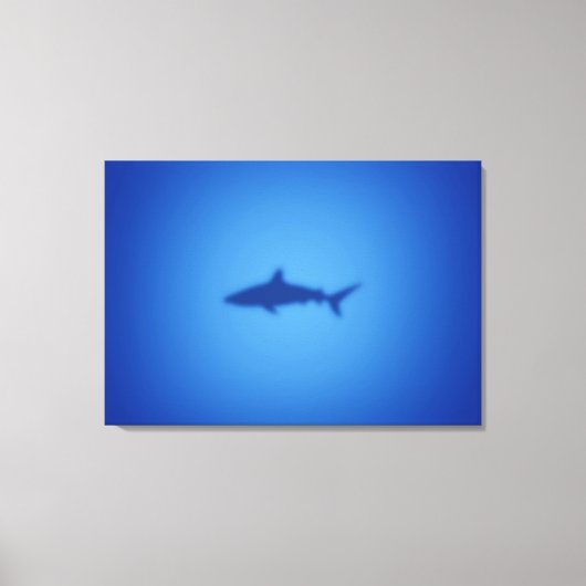 Shark silhouet canvas afdruk (Voorkant)