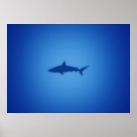 Shark silhouet poster (Voorkant)