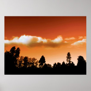 Shark silhouet poster