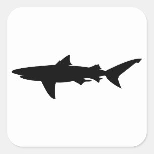 Shark silhouet vierkante sticker