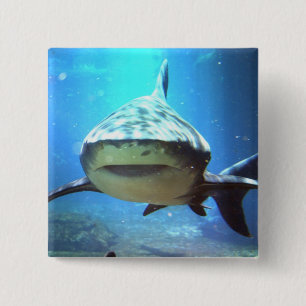 Shark Square Pin Vierkante Button 5,1 Cm