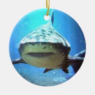 Shark Swimming Ornament