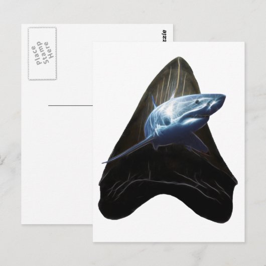 Shark Tooth Briefkaart (Voorkant / Achterkant)