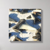 Shark Tooth Canvas Afdruk (Voorkant)
