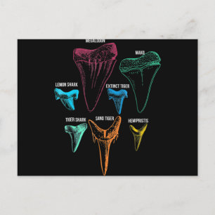 Shark Tooth Hunting - Crazy Shark Gifts Feestdagenkaart