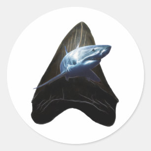 Shark Tooth Ronde Sticker