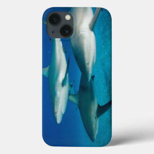 Shark Trio iPad-draagtas iPhone 13 Hoesje