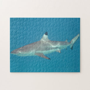Shark zwemmen onder water puzzel
