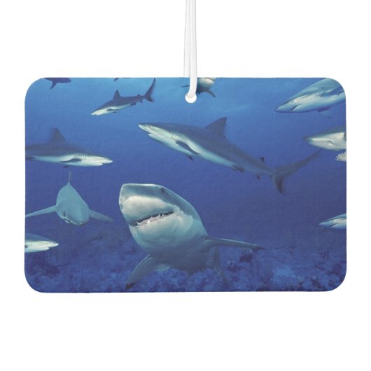Sharks Air Freshener Luchtverfrisser (Voorkant)