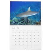 Sharks Wall Calendar Kalender (Mar 2026)