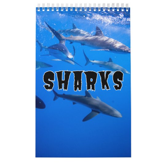 Sharp Collectie Showcase Wall Agenda Kalender (Hoes)