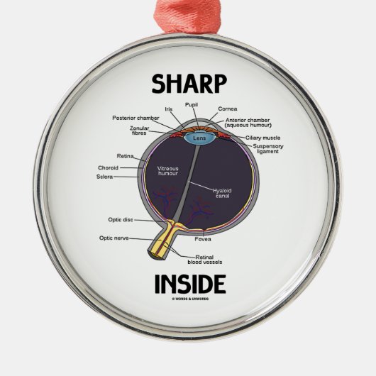 Sharp Eye (I) Inside (anatomisch Eyeball) Metalen Ornament (Voorkant)