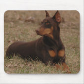 Sharp Red en Rust Vrouw Doberman Pinscher Muismat (Voorkant)