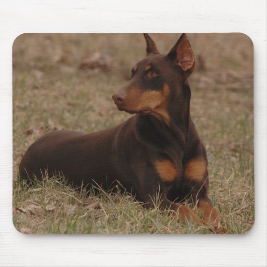 Sharp Red en Rust Vrouw Doberman Pinscher Muismat (Voorkant)