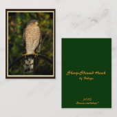 Sharp-Shinned Hawk ATC Visitekaartje (Voorkant / Achterkant)
