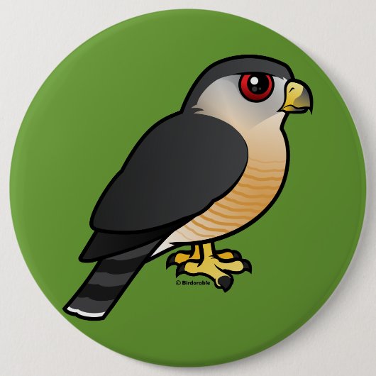 Sharp-shinned Hawk Ronde Button 6,0 Cm (Voorkant)