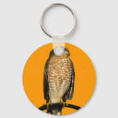 Sharp-Shinned Hawk Sleutelhanger (Voorkant)