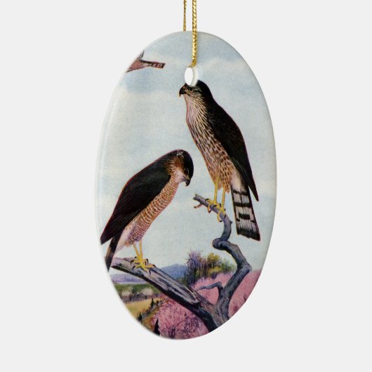 Sharp-shinned Hawks Keramisch Ornament (Rechts)