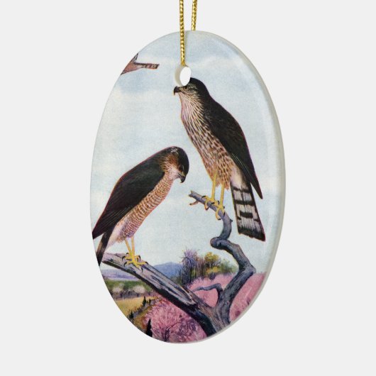 Sharp-shinned Hawks Keramisch Ornament (Links)