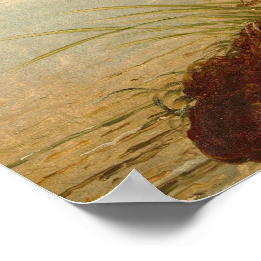 Sharp-Tailed Finch, Joseph B. Kidd Fine Art Poster (Hoek)