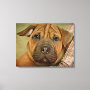 Sharpei-Beagle Puppy Canvas Afdruk