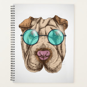 Sharpei dans les lunettes de soleil