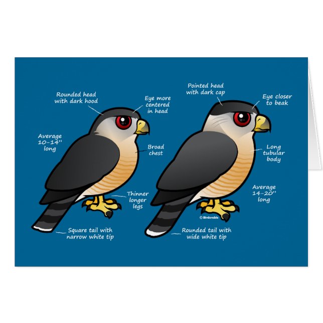 Sharpie de la cage v (Devant horizontal)