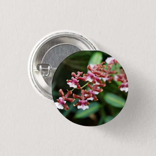Sharry Baby Oncidium Button (Voorkant /achterkant)