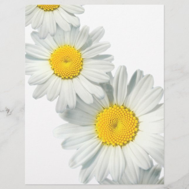Shasta Daisies (Voorkant)