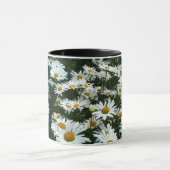 Shasta Daisies Mok (Midden)