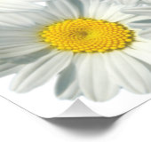 Shasta Daisies Perfect Poster (Hoek)