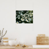 Shasta Daisies Poster (Keuken)