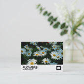 Shasta Daisies Visitekaartje (Staand voorkant)