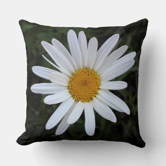 Shasta Daisy 03 Kussen (Voorkant)