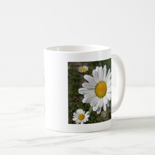 Shasta Daisy (Chrysanthemum maximum) Koffiemok (Voorkant rechts)