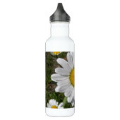 Shasta Daisy (Chrysanthemum maximum) Waterfles (Links)