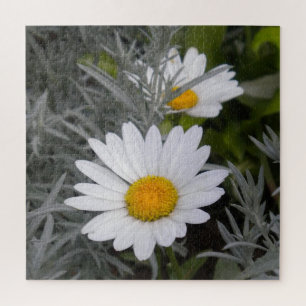 Shasta Daisy Flowers en Artemisia Legpuzzel