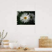 Shasta Daisy Gone Crazy. Poster (Keuken)